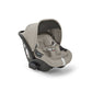 Ovetto Darwin Infant Recline - Inglesina
