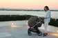 APTICA SYSTEM DUO  - INGLESINA